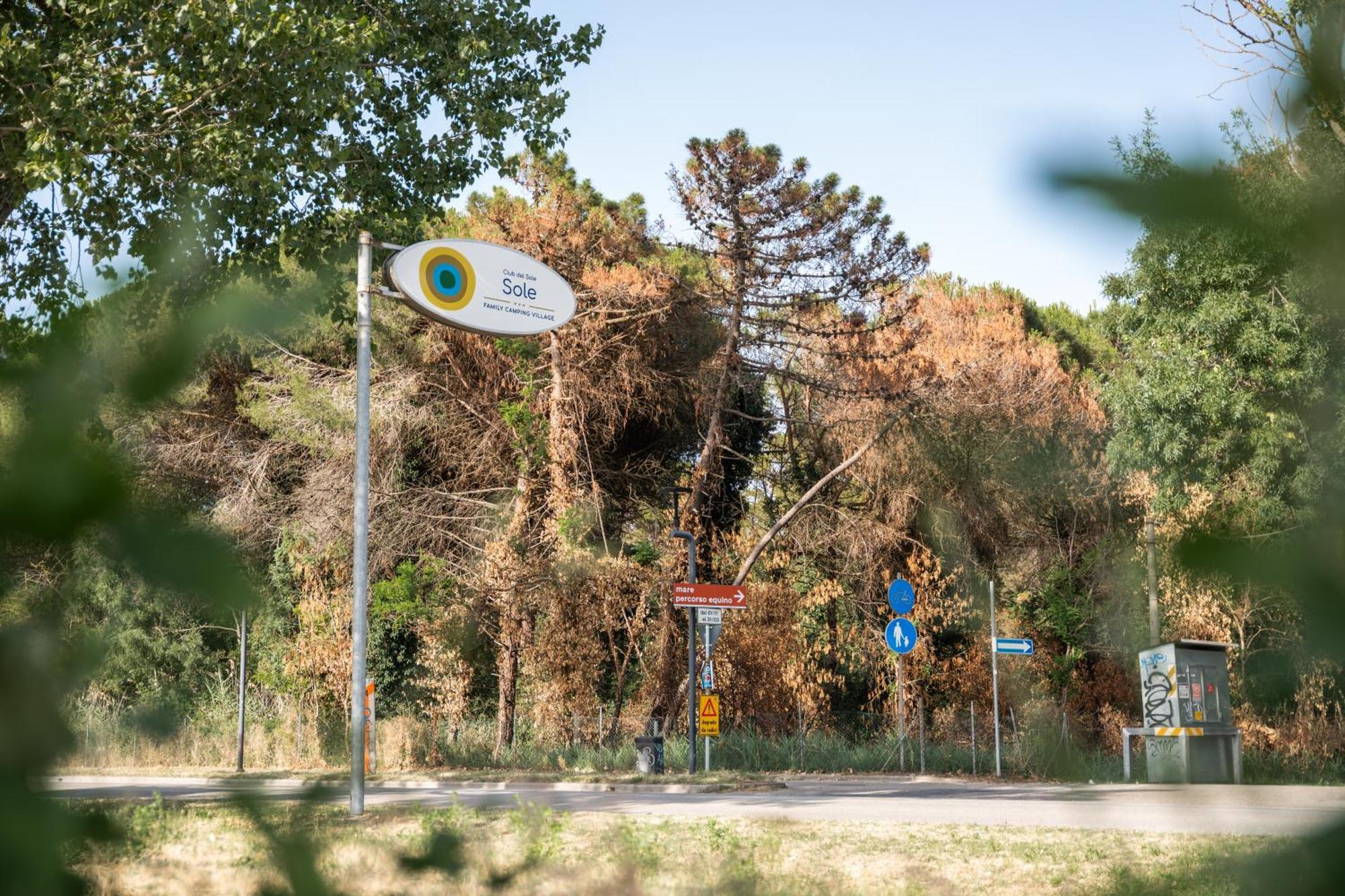 Club Del Sole Marina Romea Easy Camping Village 외부 사진